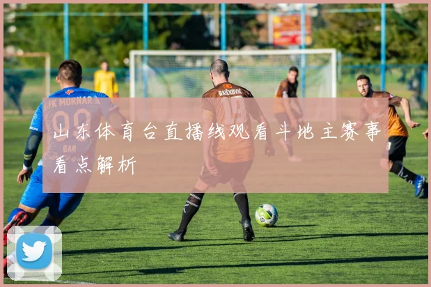 山东体育台直播线观看斗地主赛事看点解析