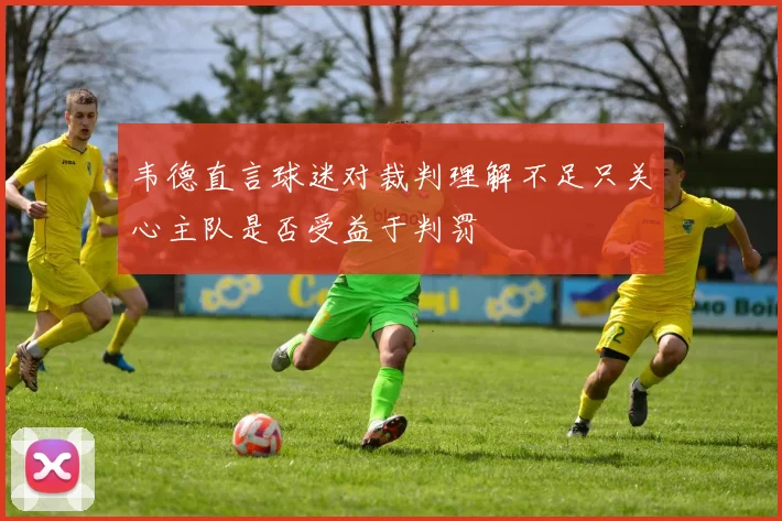 韦德直言球迷对裁判理解不足只关心主队是否受益于判罚